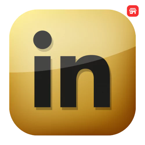 linkedin-business-plan-premium-myottstore