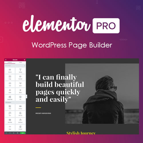 Elementor Pro Page Builder WordPress Plugin 3.25.4 GPL myottstore